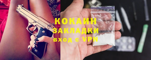 apvp Ельня