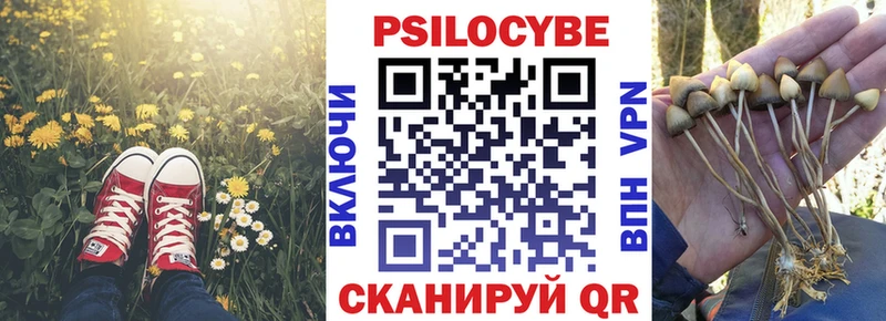 Галлюциногенные грибы прущие грибы  Пыталово 